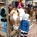 This little girl's sold on a pony ride (1719 visits) This little girl's sold on a pony ride